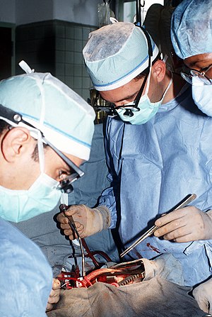English: A thoracic surgeon performs a mitral ...