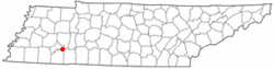 Location of Enville, Tennessee