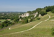 Tussen Istein en Huttingen, panorama over de wijngaarden