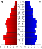 Bevolkingspiramide Winston County