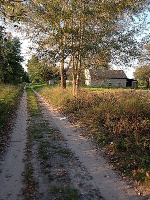 Центральна вулиця села — вулиця Шевченка