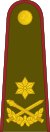 19-Литовская армия-BG.svg