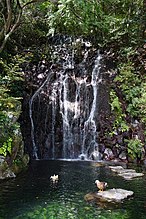 飛烟の瀧。所在地は神奈川県箱根町の天成園。