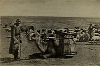 Across Mongolian plains; a naturalist's account of China's „great northwest“, 1921