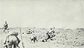 Attaque du 47e régiment de tirailleurs sibériens, 1er juillet 1917