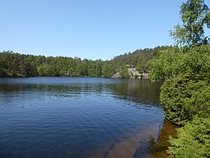 Bergsjön österifrån den 1 juni 2023
