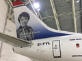 Flyselskapet Norwegian utstyrte i 2017 sin Boeing 737 NAS EI-FVL med portrettet av Rosalia de Castro som "halehelt"