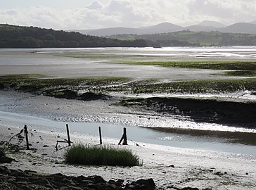 Yr afon ger Gwarchodfa Natur Conwy