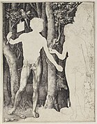 Second trial proof of the Adam and Eve, Albertina (DG1930.1450)
