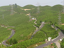 A bird's eye view of Darjeeling tea gardens.