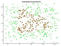 Endposition bei aggressiver Virusvariante (Radius=1.1)