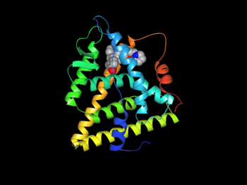 English: A crystal structure of the ERalpha li...