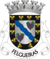 Coat of arms of Felgueiras