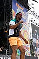 Festival des Vieilles Charrues 2019 - BCUC - 086.jpg