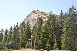 Fresno Dome 2004.jpg