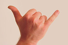 http://upload.wikimedia.org/wikipedia/commons/thumb/4/42/Gesture_raised_fist_with_thumb_and_pinky_lifted.jpg/220px-Gesture_raised_fist_with_thumb_and_pinky_lifted.jpg