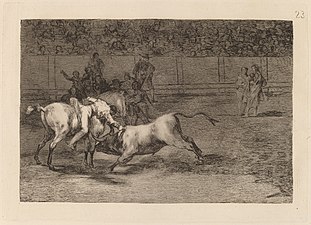 Νο. 23: Mariano Ceballos, alias "El Indio", mata el toro desde su caballo ("Mariano Ceballos, AKA "The Indian", kills the bull while riding his horse")