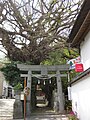 奈良尾神社（奈良尾郷）