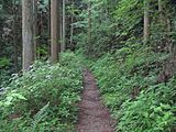 高野山町石道玉川峡県立自然公園 （高野山町石道）