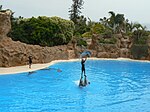 Loro Parque