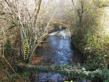 Le ruisseau de Manaurie au lieu-dit Roucaudou.