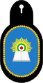 Military Training badge