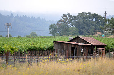 Napa Valley Weather Late February