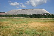 Die Salzwiesen in der Rohrlache. Im Hintergrund der „Monte Kali“, die Abraumhalde des Kalibergbaus.