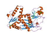 2odt: Structure of human Inositol 1,3,4-trisphosphate 5/6-kinase