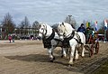 Vignette pour la version du 6 mars 2014 à 20:26