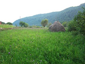 Pogănești