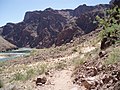 Sentier de randonnée du River Trail.