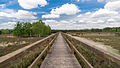 Vogelschutzgebiet Schwalm-Nette-Platte mit Grenzwald und Meinweg MG / HS / KLE / VIE