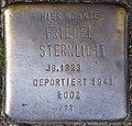 Stolperstein für Friedel Sternlicht (Zwirner Straße 33)