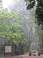 Image 8Afternoon thunderstorms are a frequent occurrence in Singapore, which has an equatorial climate. (from Geography of Singapore)