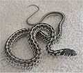 Checkered Garter Snake, Thamnophis marcianus