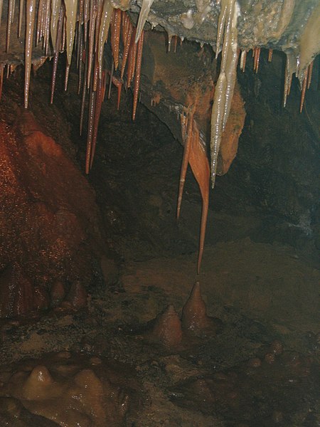 File:The Stork stalactite at Treak Cavern.JPG