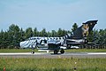 NATO Tiger Meet 2008: A Luftwaffe 46+48-as ECR-je