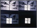 Light Photo Works Transitions Tree I 1976