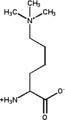 Trikrát metylovaný: (6-N,6-N,6-N)trimetyllyzín
