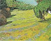 Van Gogh - Wiese mit Trauerweide.jpeg