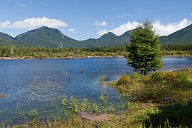 Photo couleur d'une étendue d'eau de couleur bleu, avec, en arrière-plan, une chaîne de montagnes boisées, sous un ciel bleu nuageux.