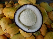 A coconut sprout, the edible haustorium of germinating coconut seeds 01098jfRoads Orion Pilar Limay Bataan Bridge Landmarksfvf 10.JPG