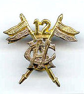 12th Cavalry (FF) badge.jpg
