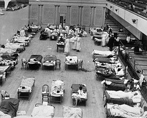 1918 flu epidemic: the Oakland Municipal Audit...