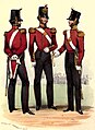 Soldati del 53rd Regiment of Foot nel 1849. (Il coatee a coda, indossato qui, fu sostituito nel 1855 dalla casacca terminante con una sorta di gonna).