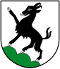 Wapen van Kitzbühel
