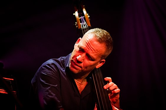 Avishai Cohen (commons)