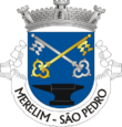 Vlag van São Pedro de Merelim