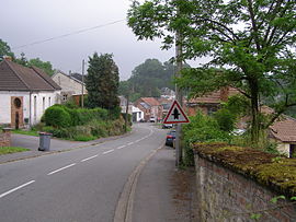 A view within Bellignies